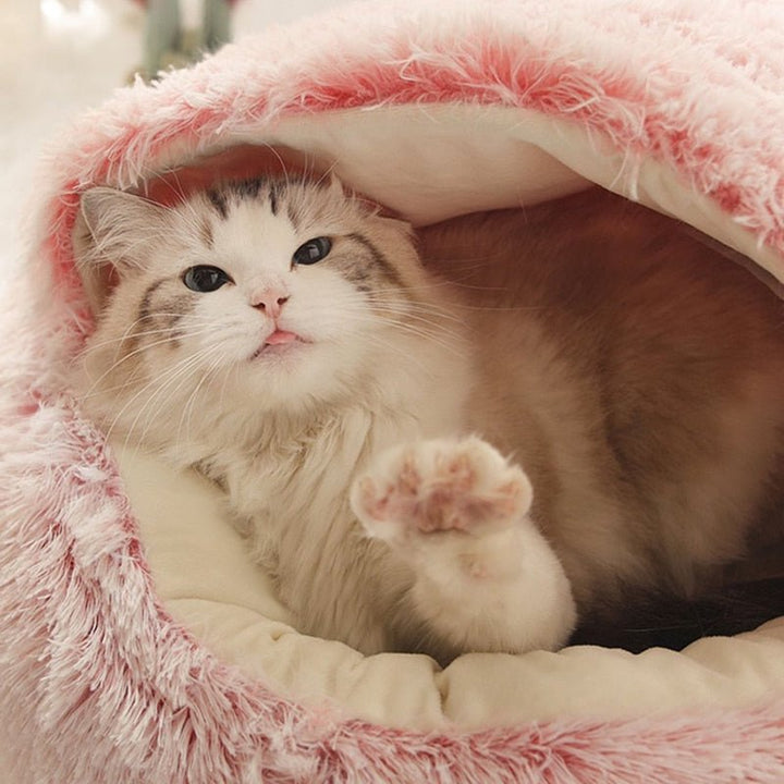 KittyCove Ultimate Comfort for Your Cat | Skanto