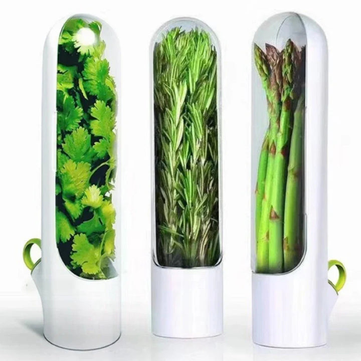 Urtebeholder for fersk vanilje, grønnsaker og urter på kjøkkenet | Skanto