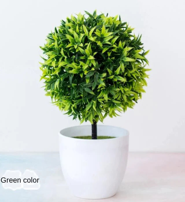 Skanto | Liten Tre Potte Bonsai Planter