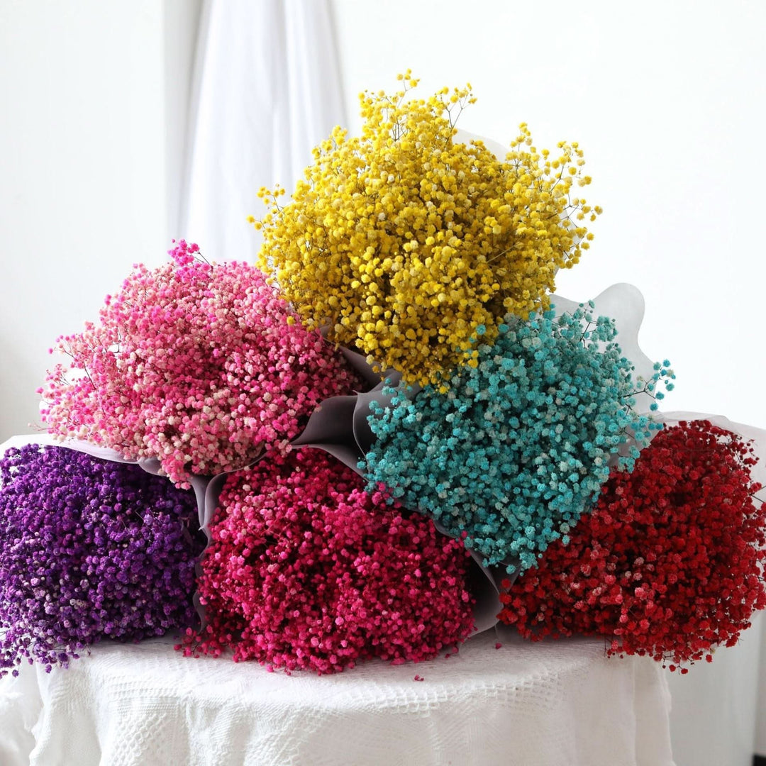 Getrockneter, konservierter Schleierkraut-Blumenstrauß – Natürliche Dekoration