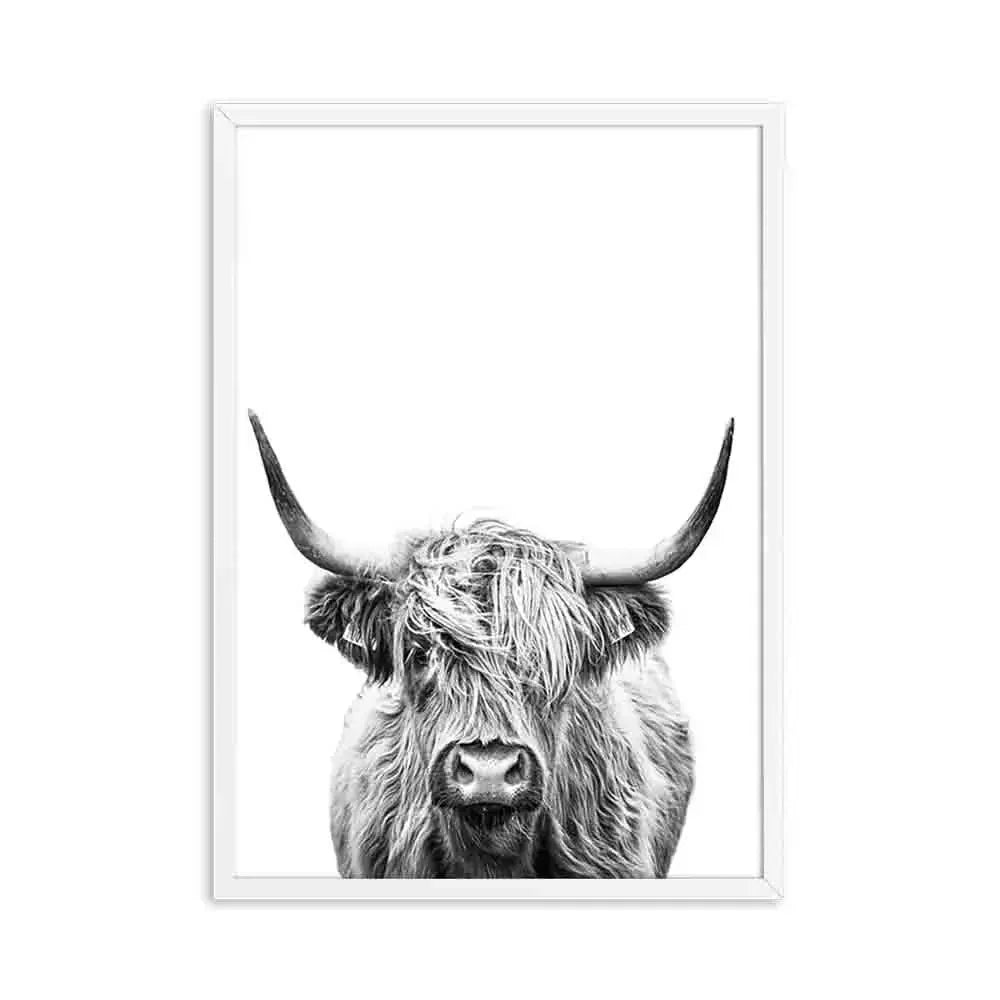 Hochlandrinder Schwarz Weiß Minimalistisk Veggkunst Fine Art Lærretstrykk Poster Bilder For Stue Spisestue Nordisk Interiør | Skanto