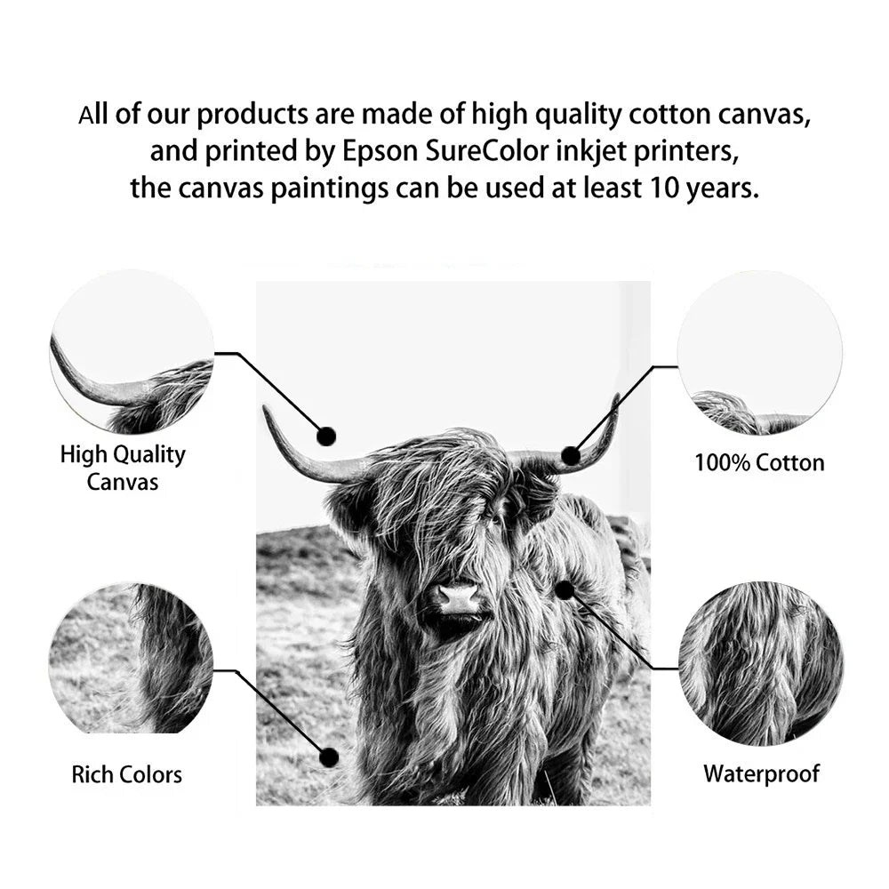 Hochlandrinder Schwarz Weiß Minimalistisk Veggkunst Fine Art Lærretstrykk Poster Bilder For Stue Spisestue Nordisk Interiør | Skanto