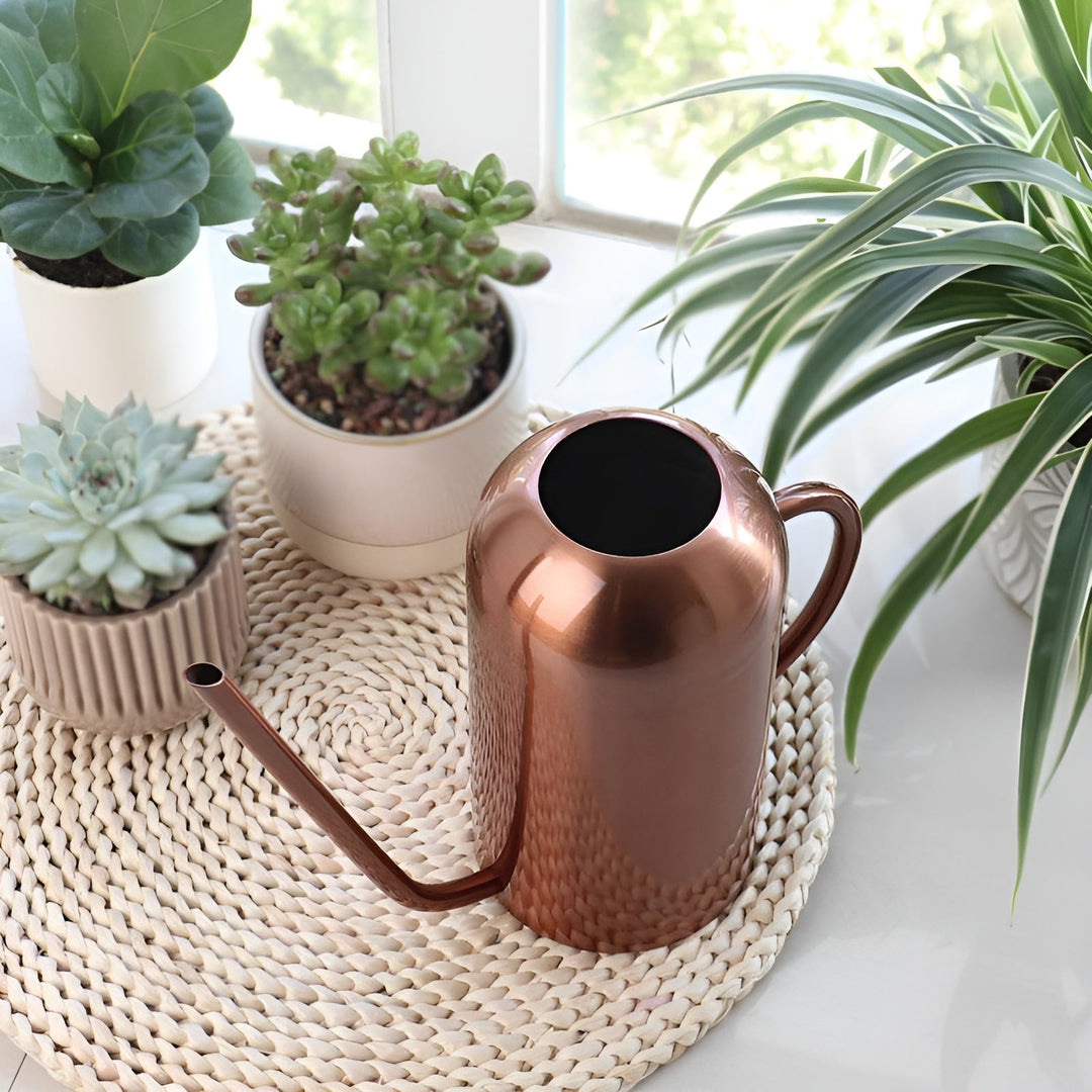 Skanto | Rustfritt Stål Hellervann - 1,5L Lang Vanningkanne for Planter og Blomster
