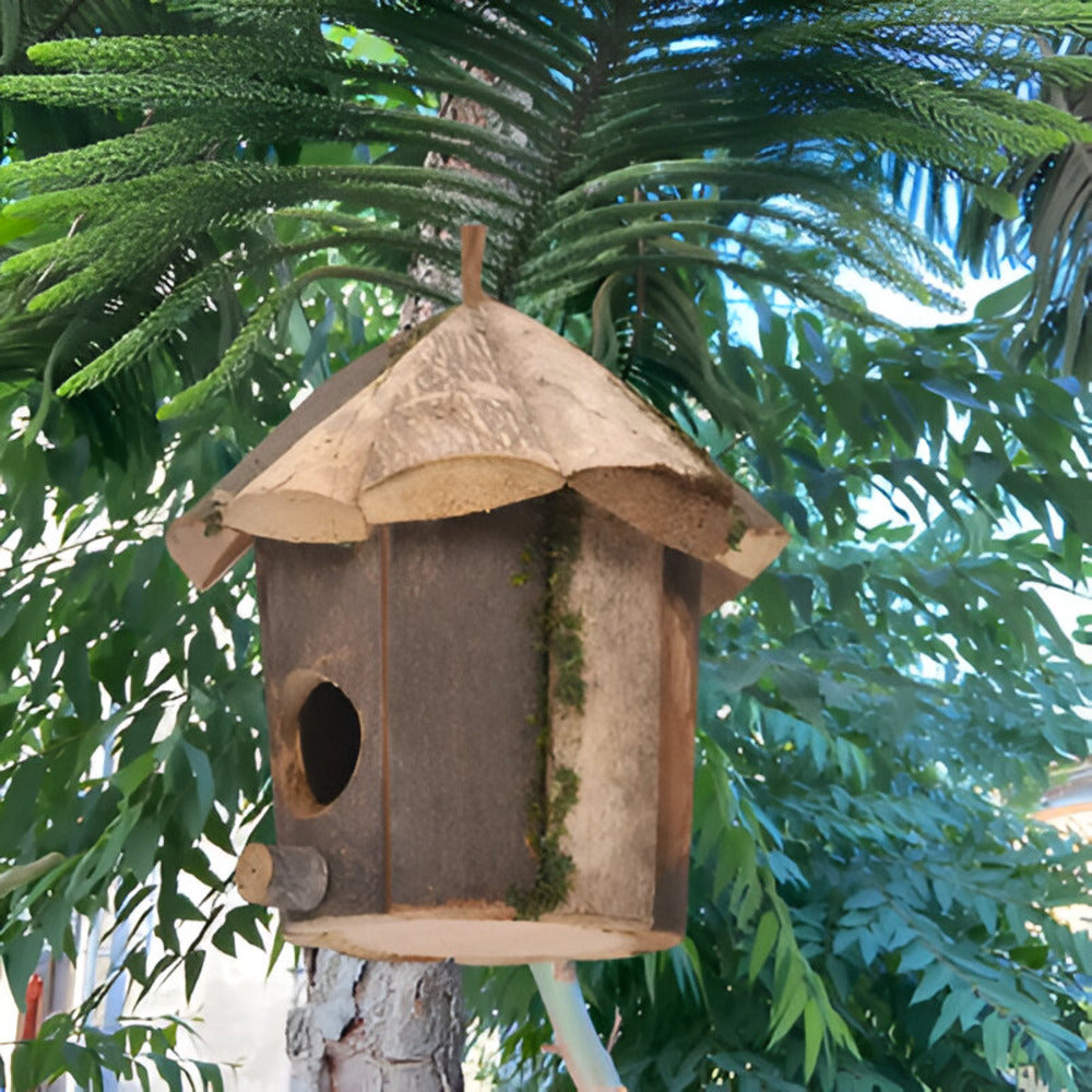 Skanto | Rustikk Tre Kolibri Fuglehus