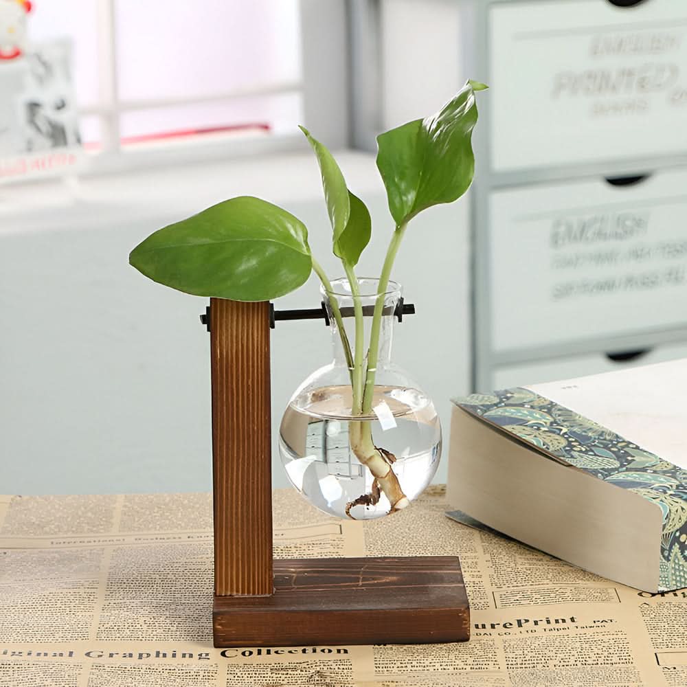 Skanto | Rustikk Tre Hydroponisk Planteholder med Glassvase