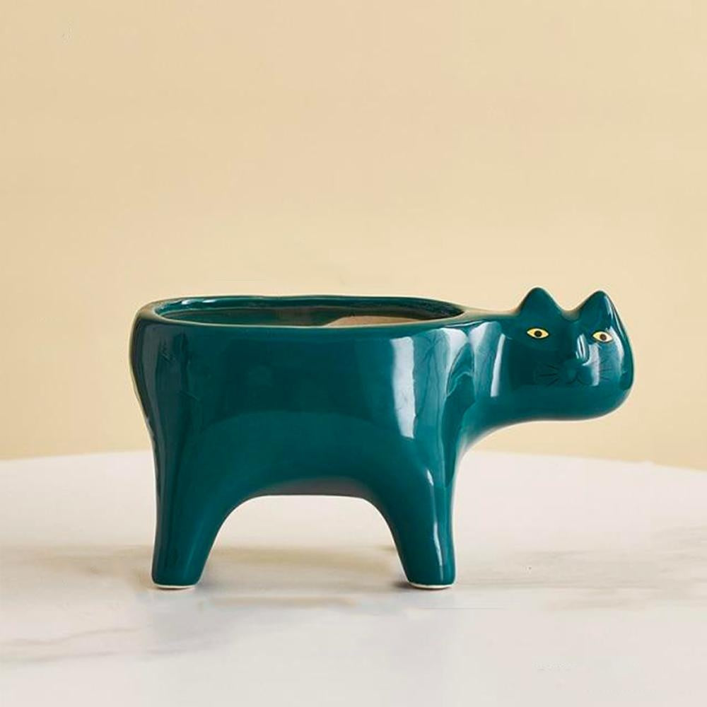 Kat Pot | Skanto