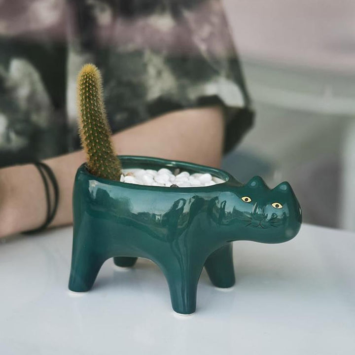 Kat Pot | Skanto
