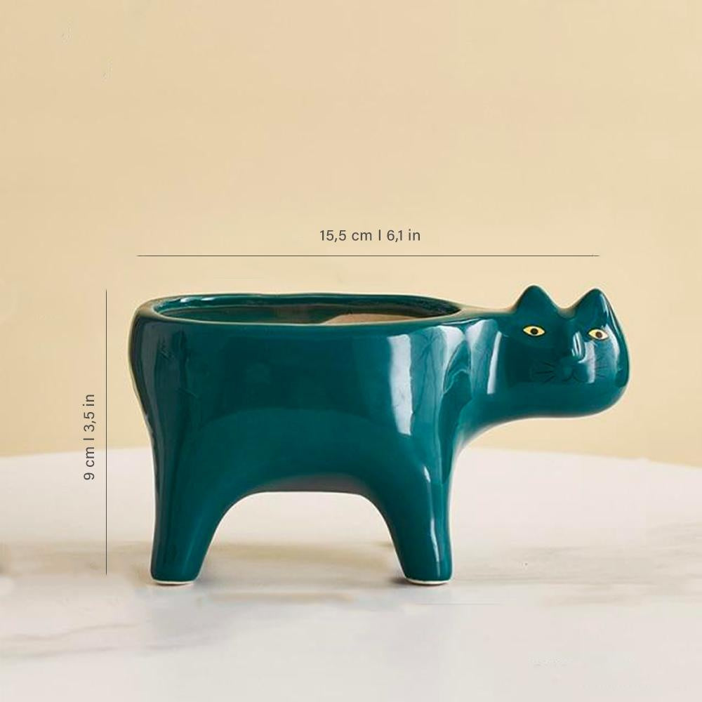 Kat Pot | Skanto