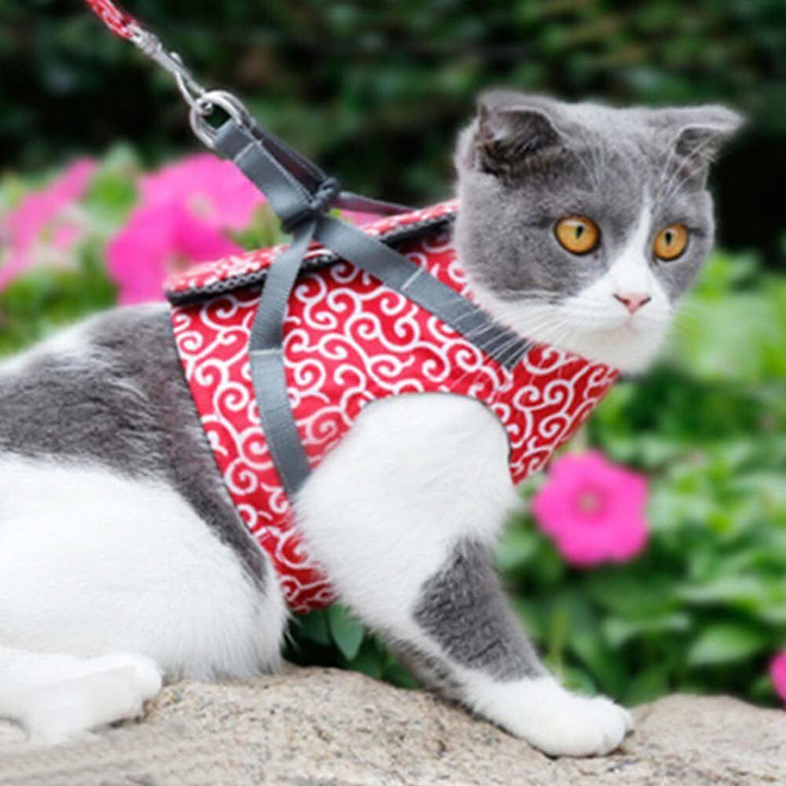 Skanto | Katt sele vest for sikkerhet og komfort