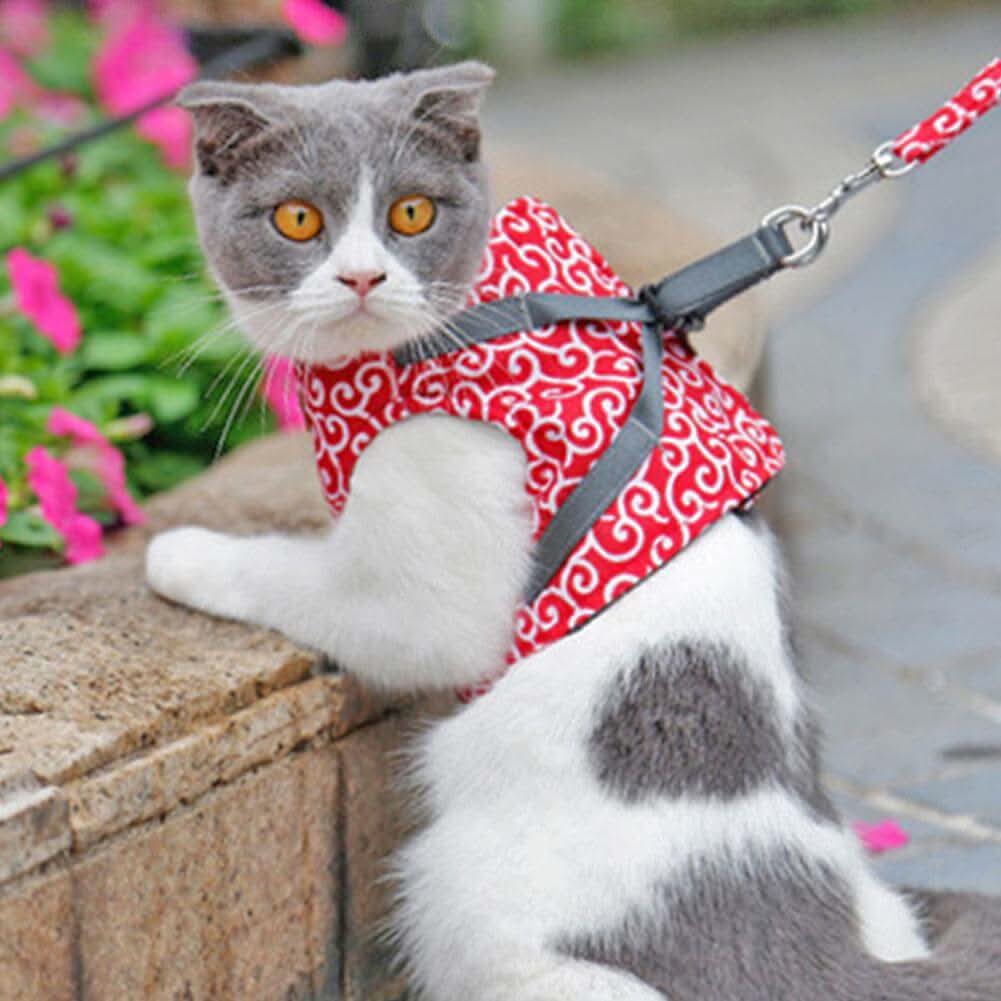 Skanto | Katt sele vest for sikkerhet og komfort