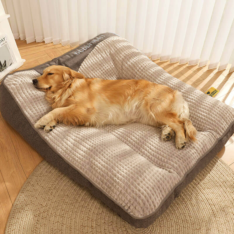 Skanto | Tykk ripebeskyttende ryggbeskyttelse hundeseng