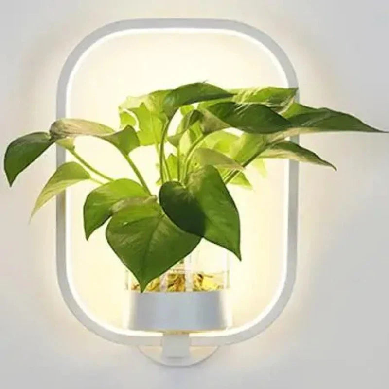 Skanto | Vegglampe med glassplanteholder