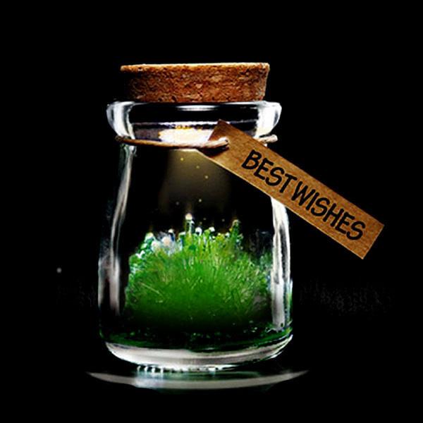 Magic Crystal Growing Jar Kit (Ulike farger og meldinger) | Skanto