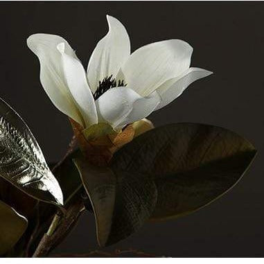 Magnolia Silke Blomster Skålift
