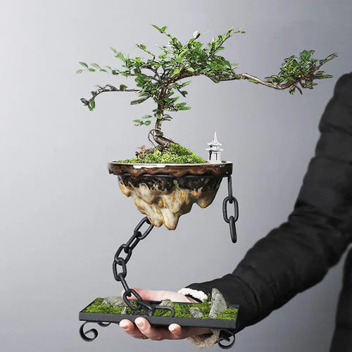 Skanto | Moderne Henge Sukulent Plantekasse