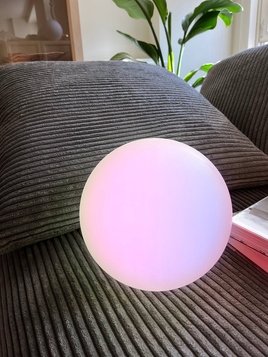 Skanto | LED Trådlampe - Oppladbar Moderne Lysarmatur for Hjem, Kontor og Nattbord Bruk
