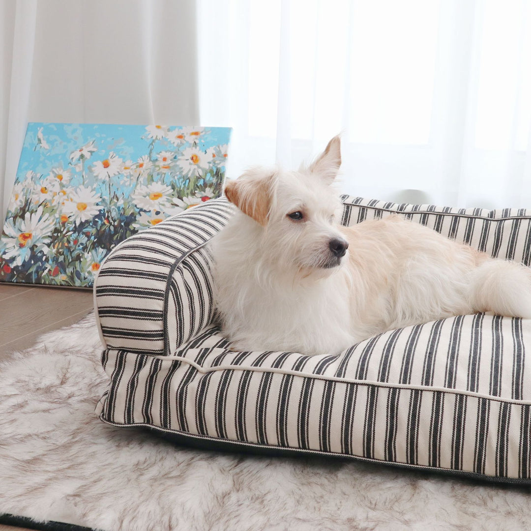 Stripet ortopedisk hundesofa