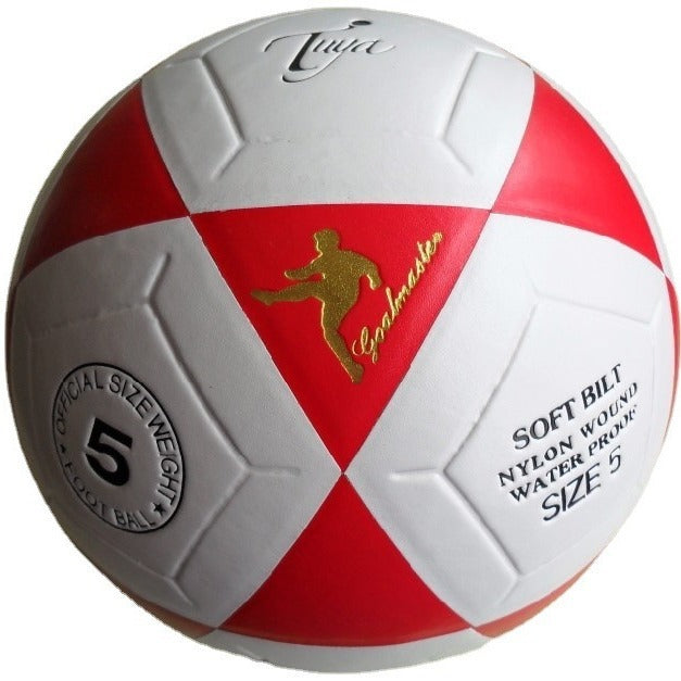 Dame Fotball Skanto