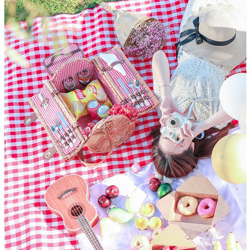 Dame Picnic Kurv Skanto
