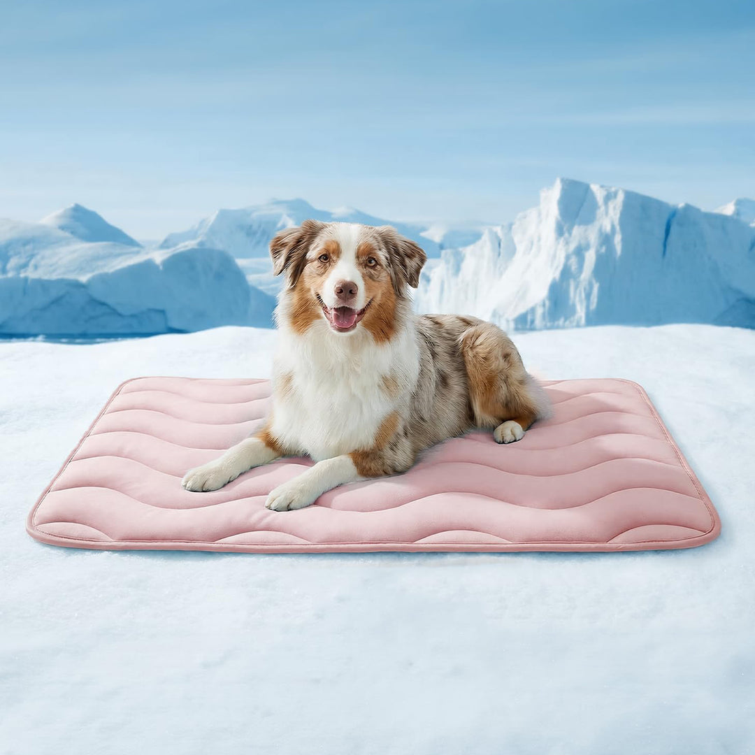 Dame ortopedisk hundeseng Skanto