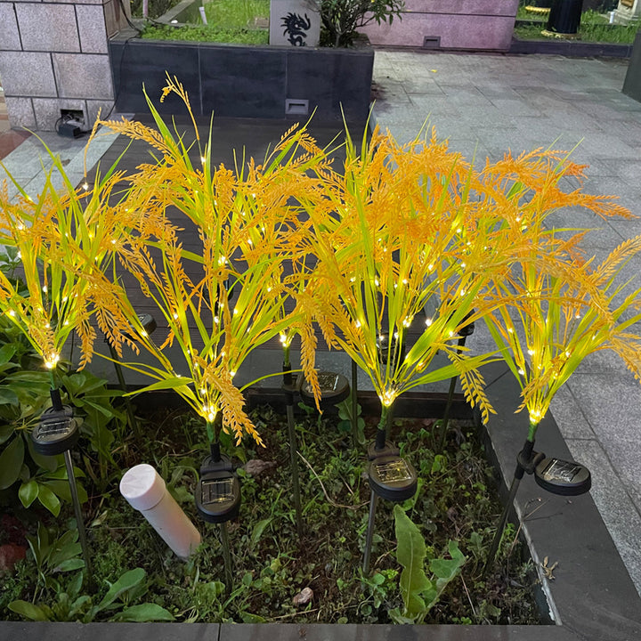 Solar LED Ornamental Risgrass Hage Stake Lys Med Mikro-LED Snor Og Bakke Spike Skanto
