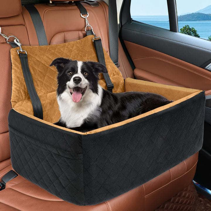 Hunde-beskyttelsesbilsete Skanto