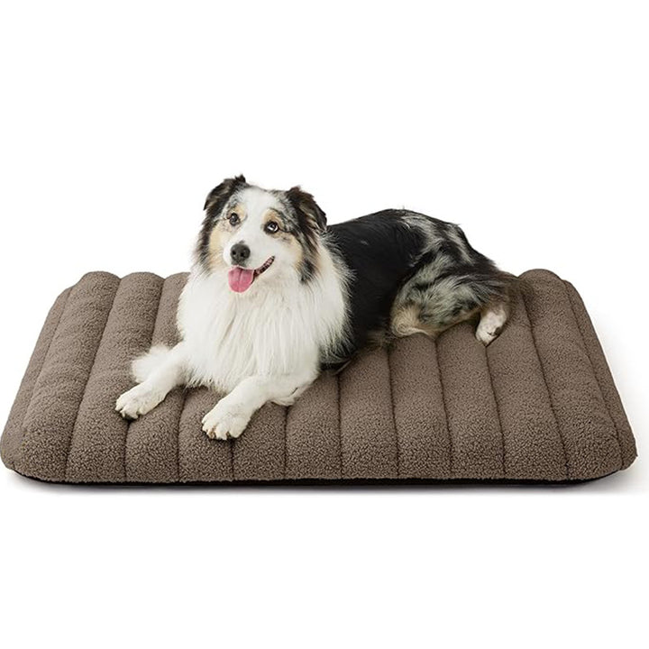 Plush ortopedisk  lounge seng   hundeseng