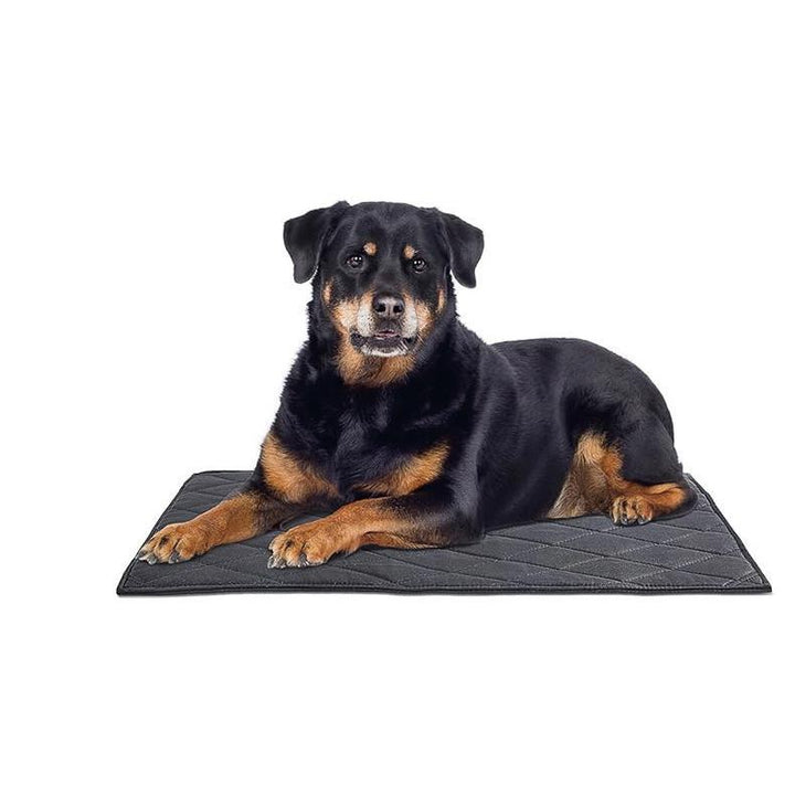 Holdbar  Treningsmatte   Hundeseng