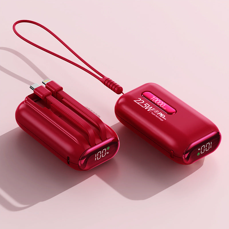 Powerbank Skanto