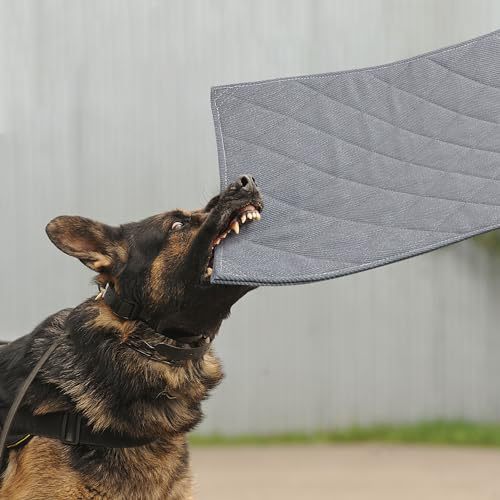 Holdbar  Treningsmatte   Hundeseng