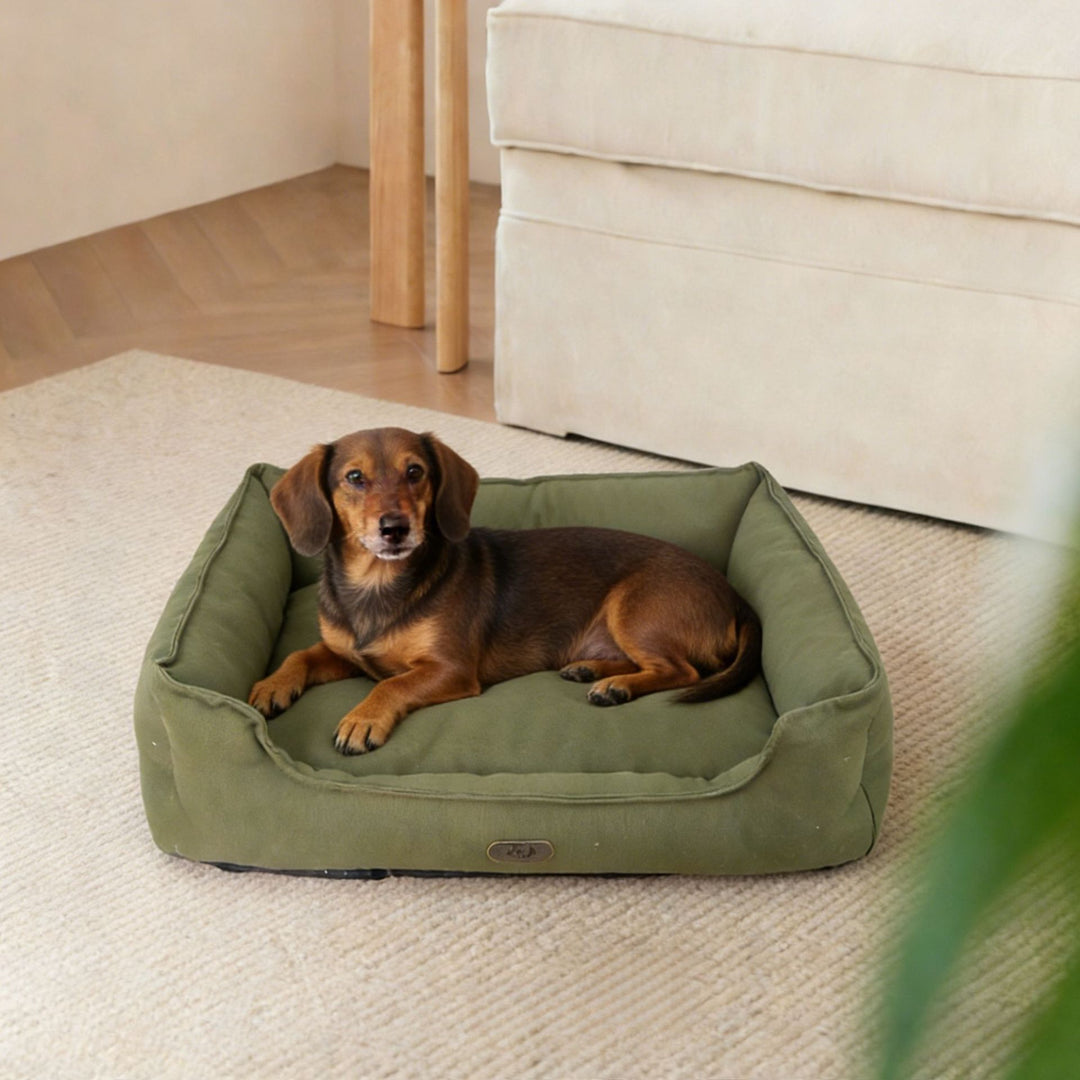Holdbar utendørs hundeseng