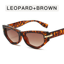 Damer trendy Cat-Eye solbriller Skanto