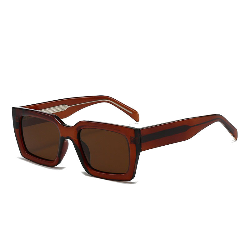 Damer stilige solbriller i trendy tortoise-design Skanto
