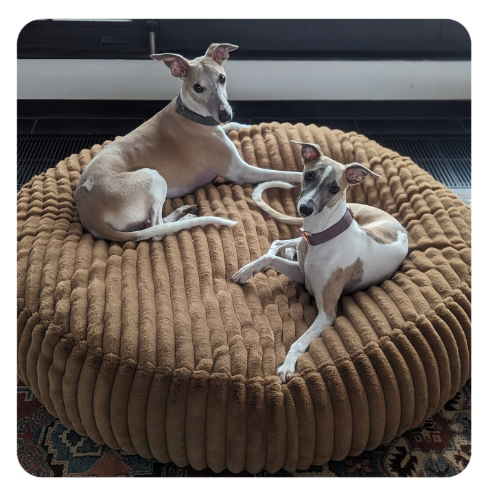 Sirkulær Plush Lounge Hundeseng