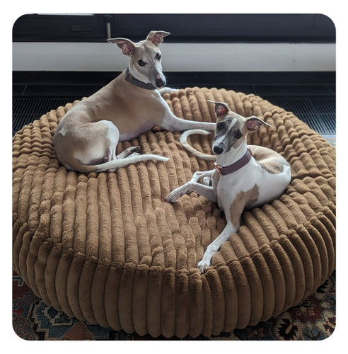 Sirkulær Plush Lounge Hundeseng