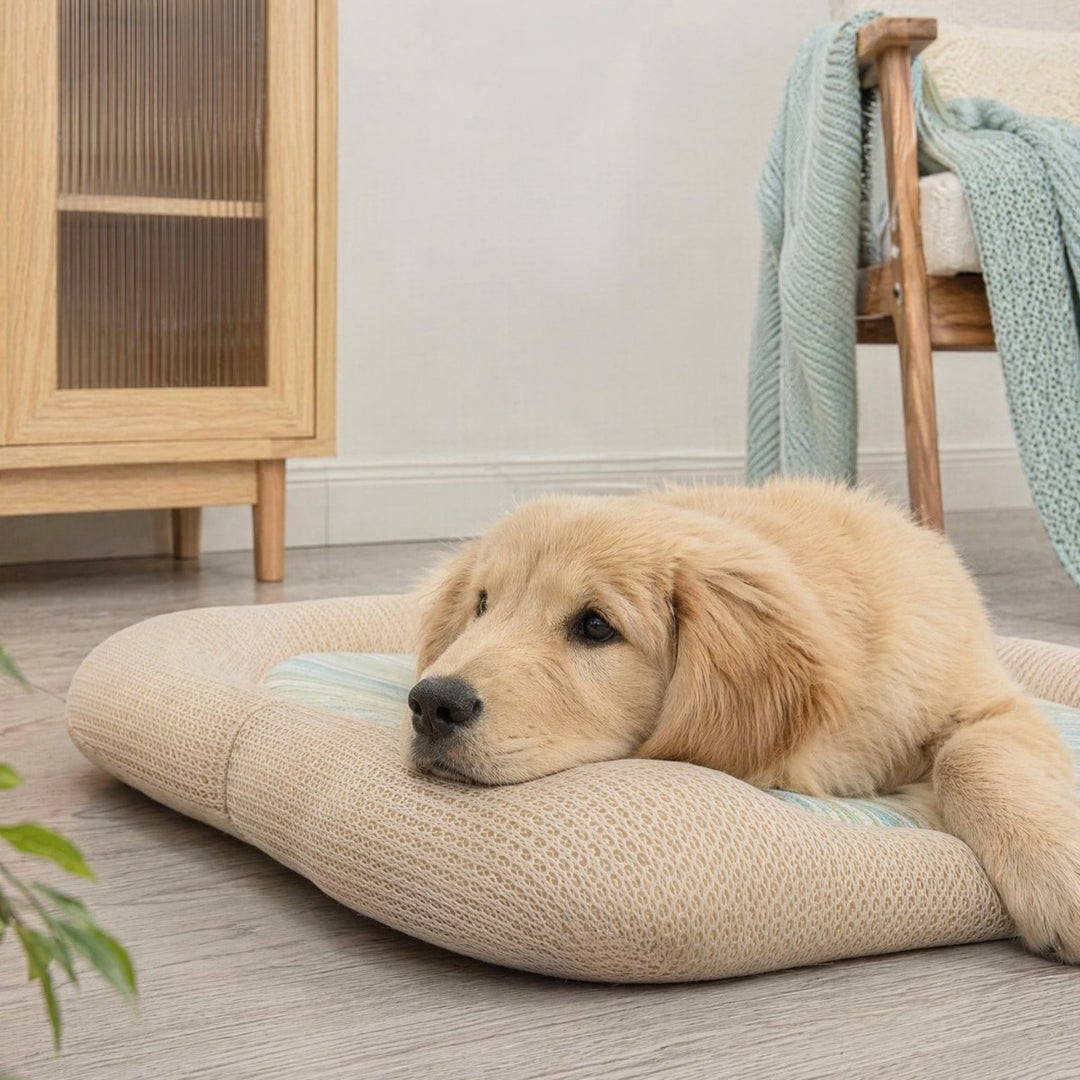 Komfortabel ortopedisk hvilematte hundeseng