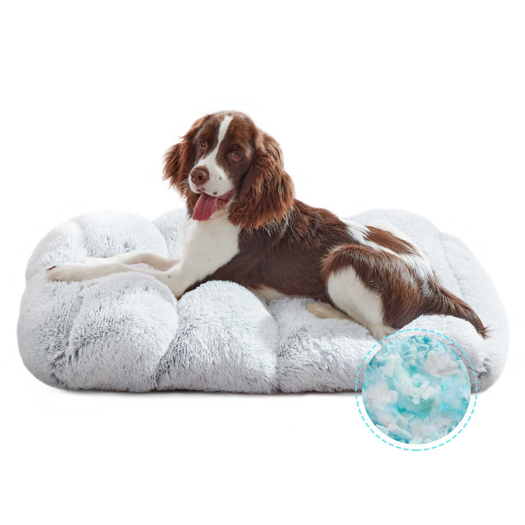 Ortopedisk Hundeseng