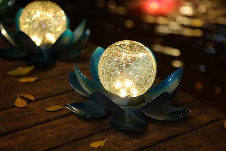 Solar Lotus Risshagenlys