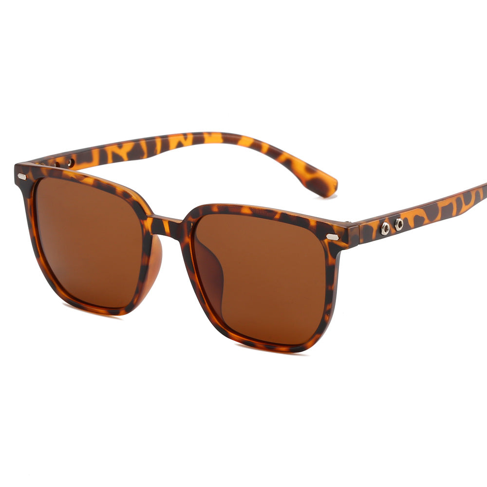 Dame moteriktig solbrille i trendy skilpaddemønster Skanto