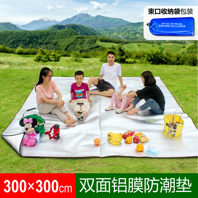 Picknickteppe Skanto