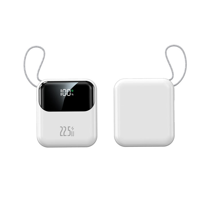 Powerbank Skanto
