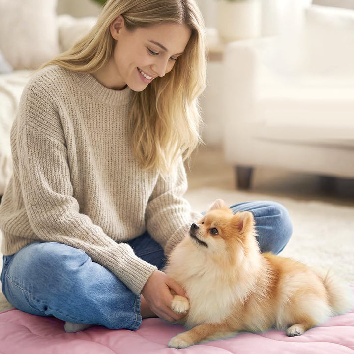 Dame ortopedisk hundeseng Skanto