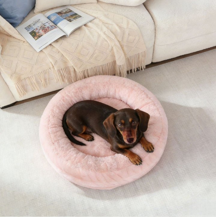 Plush terapeutisk hundereir