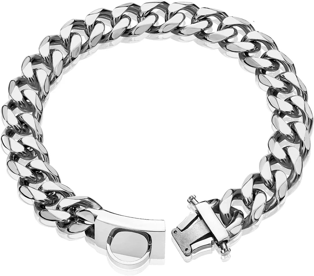 Titanium Stål Hundehalsbånd Skanto