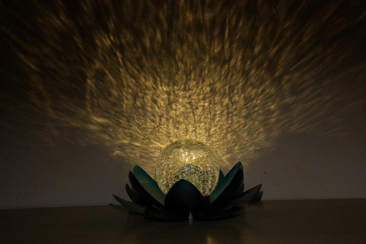 Solar Lotus Risshagenlys