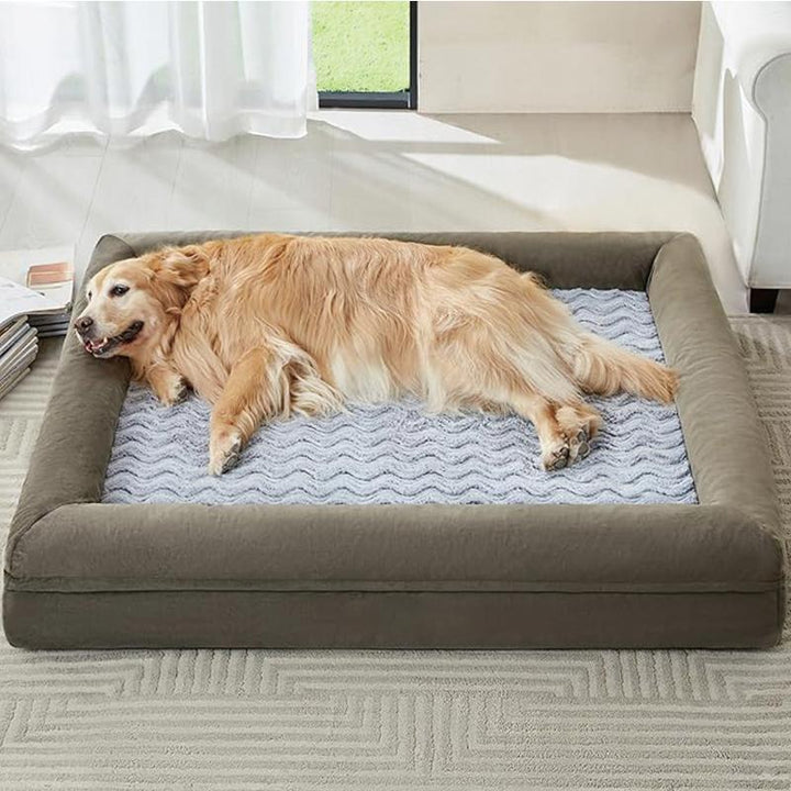 Minneksvamp Hund Loungeseng   Hundeseng