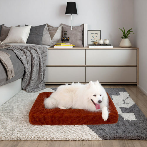 Komfort-infusert ortopedisk hundedyne