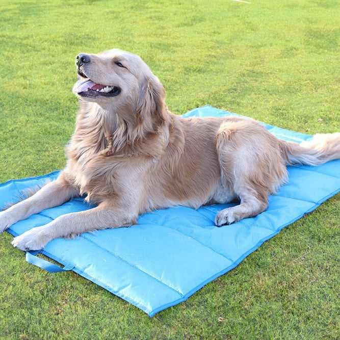 Kjølematte   Hundeseng