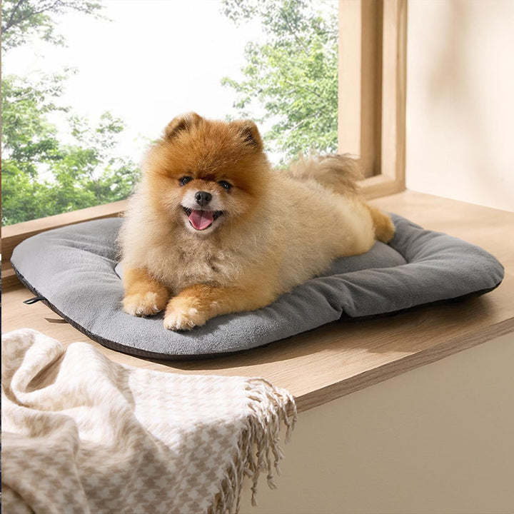 Premium Comfort Ortopedisk Hundemadrass   Hundeseng