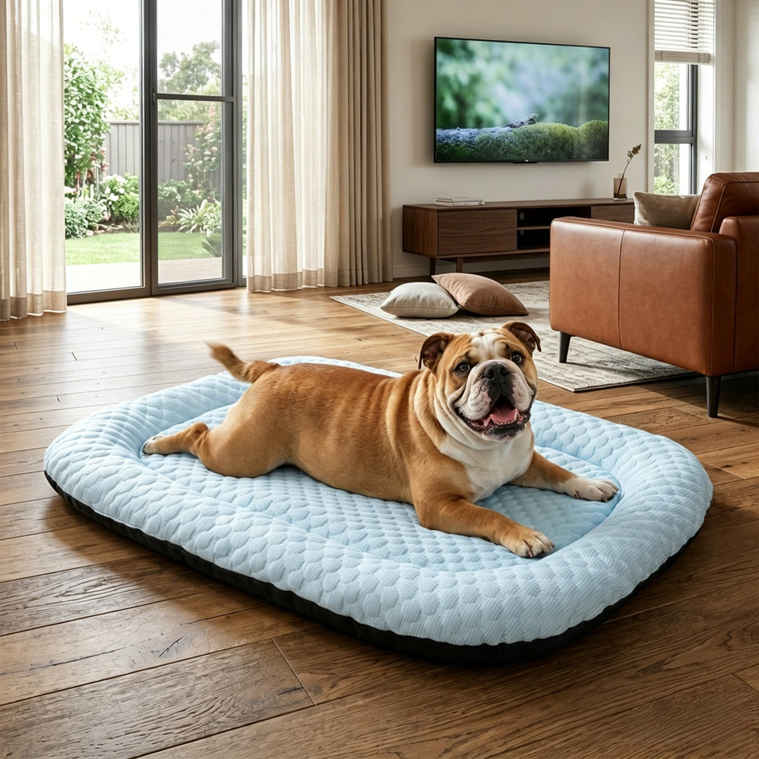 Unisex Hundeseng Skanto